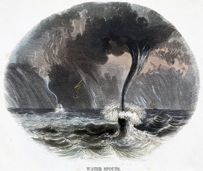 Dziobki wodne, ze zjawisk natury, 1849 autorstwa Josiah Wood Whymper