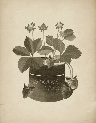 Ilustracja przedstawiająca truskawki w stylu vintage autorstwa Josie George