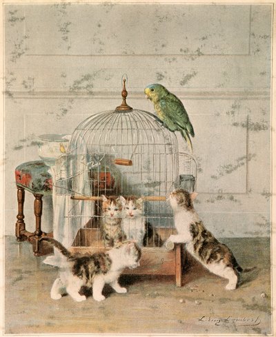 Chatons autorstwa Josse Photo