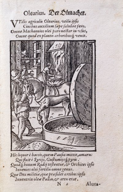 Oil Maker, ilustracja z łacińskiego wydania „De Omnibus Illiberalibus Sive Mechanics Artibus” z wierszami Hansa Sachsa (1494-1576) wyd. 1574 (drzeworyt) autorstwa Jost Amman