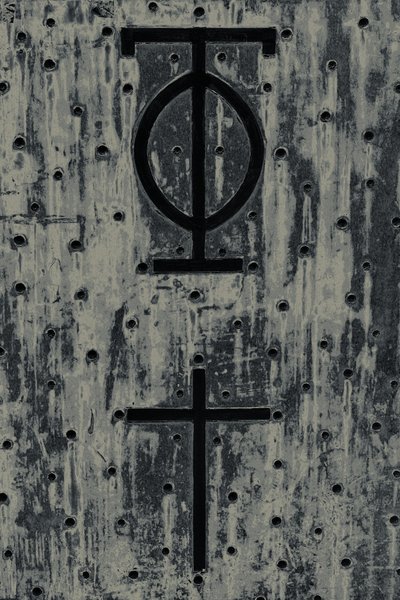 Ikony, z serii The Observant, 2016 (zdjęcie) autorstwa Joy Lions