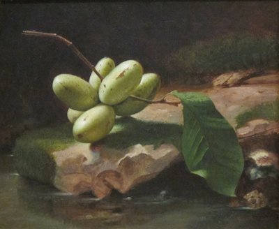 Martwa natura z łapkami autorstwa Jr. Edward Edmondson