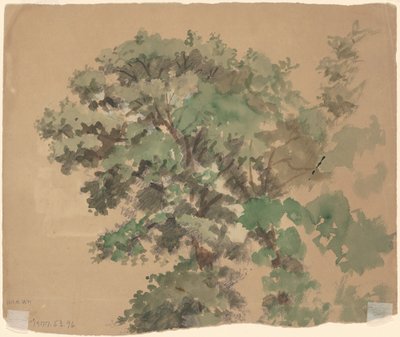 Drzewo [verso] autorstwa Jr. Enoch Wood Perry