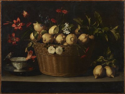 Martwa natura z cytrynami w wiklinowym koszu, ok. 1643-1649. autorstwa Juan de Zurbaran