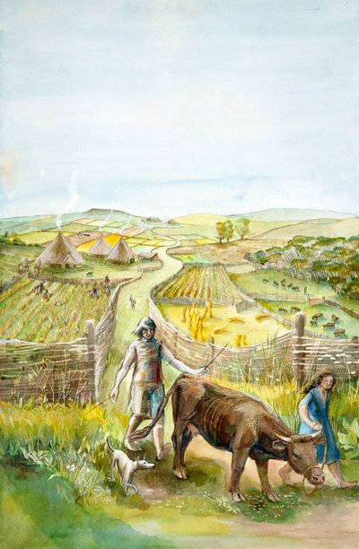 Krajobraz wiejski, 2000 pne, c1990-2010 autorstwa Judith Dobie
