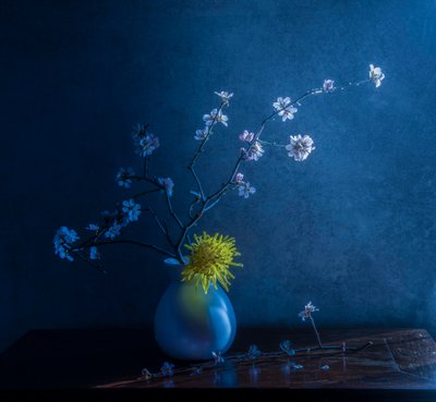 Niebieskie kwiaty i wazon autorstwa Judy Tseng