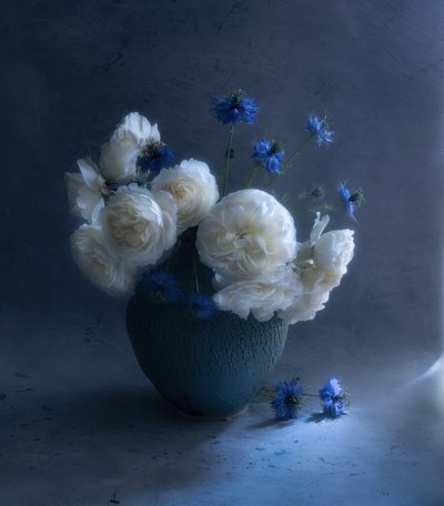  autorstwa Judy Tseng