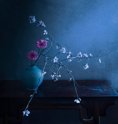 Mroczna kwiatowa elegancja autorstwa Judy Tseng