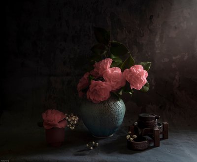 Kompozycja z kamelii „Moody” autorstwa Judy Tseng