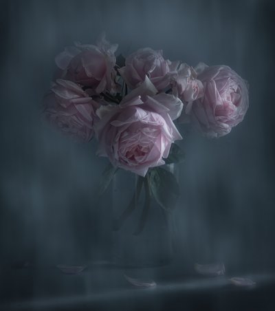 autorstwa Judy Tseng