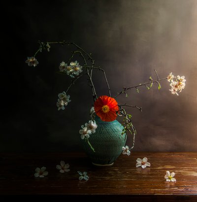 Kwiaty maku w nastrojowych barwach autorstwa Judy Tseng