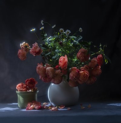  autorstwa Judy Tseng