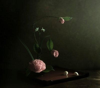 Ikebana z różową kamelią autorstwa Judy Tseng