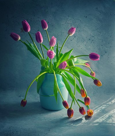  autorstwa Judy Tseng
