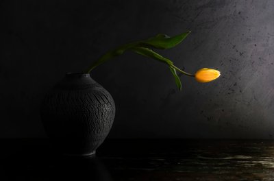 Martwa natura z żółtym tulipanem autorstwa Judy Tseng