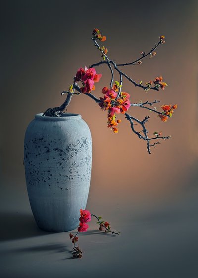  autorstwa Judy Tseng