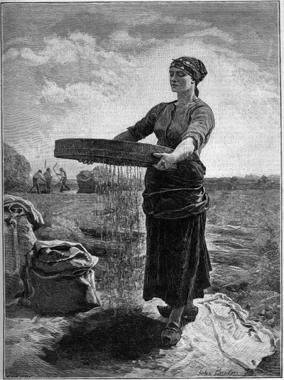 Przesiewacz rzepaku: z obrazu Julesa Bretona. W „Rodzinie” z 1888 r. autorstwa Jules Breton