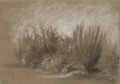 Genets et Ronces (miotła i jeżyny) autorstwa Jules Dupré