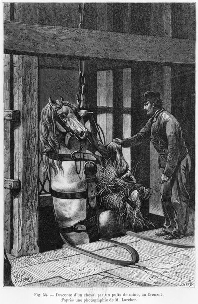 Koń wciągany w dół szybu węglowego w Le Creusot, ilustracja z „La Vie souterraine” Louisa Simonina (1830-86) 1867 autorstwa Jules Ferat