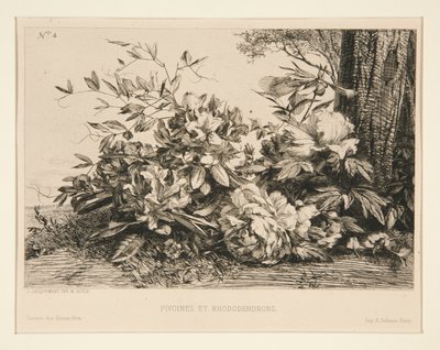 Piwonie i rododendrony autorstwa Jules Ferdinand Jacquemart