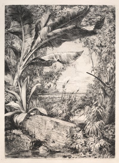 Rośliny szklarni, 1872. autorstwa Jules Ferdinand Jacquemart