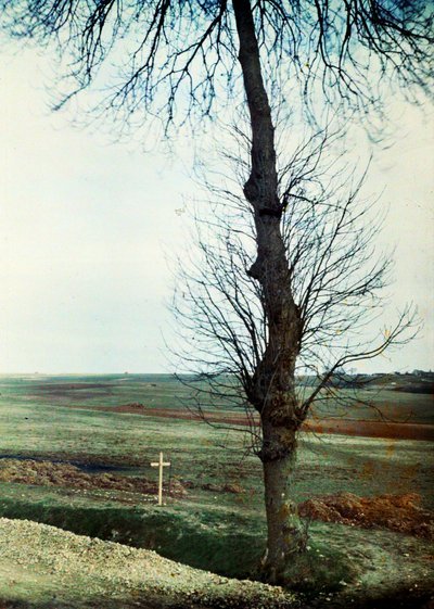 Grób z kilkoma zabitymi na poboczu drogi podczas bitwy nad Marną na wschód od Paryża, wrzesień 1914 (autochrom) autorstwa Jules Gervais Courtellemont
