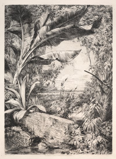 Rośliny szklarniowe autorstwa Jules Jacquemart