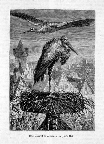 Bociany na dachu – w „Przyjacielu Fritza” Erckmann-Chatrian, il. autorstwa Théophile