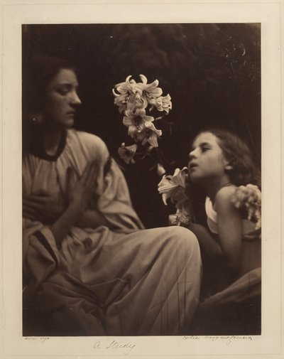  autorstwa Julia Margaret Cameron