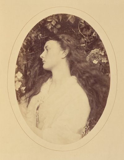 [Alethea] autorstwa Julia Margaret Cameron