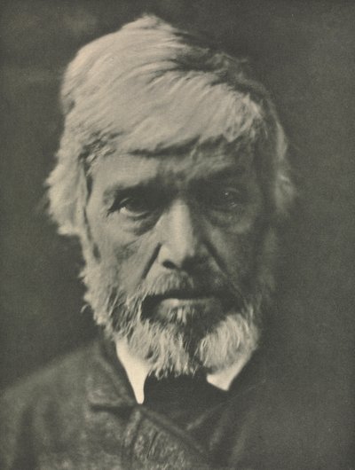 Praca kamery: Carlyle autorstwa Julia Margaret Cameron