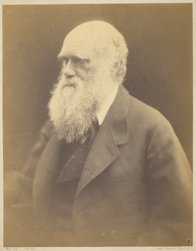 Karol Darwin autorstwa Julia Margaret Cameron