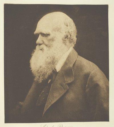 Karol Darwin autorstwa Julia Margaret Cameron