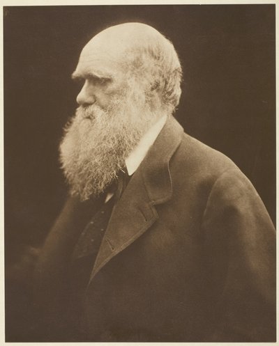 Karol Darwin autorstwa Julia Margaret Cameron