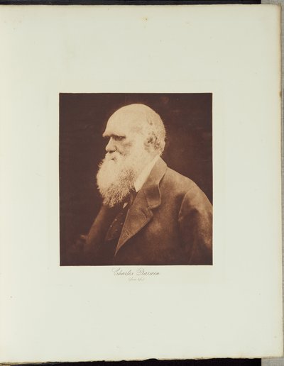  autorstwa Julia Margaret Cameron