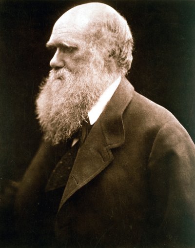 Karol Darwin, brytyjski przyrodnik, ok. 1870 r. autorstwa Julia Margaret Cameron