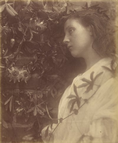 Maud "Spadła wspaniała łza z kwiatu pasji przy bramie" autorstwa Julia Margaret Cameron