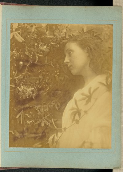  autorstwa Julia Margaret Cameron