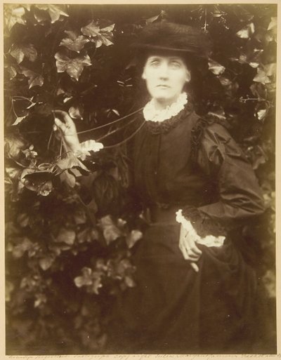 Pani Herbert Duckworth Spacery piękna, wrzesień 1874. autorstwa Julia Margaret Cameron