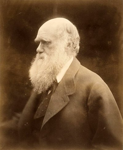Portret Karola Darwina, 1868 autorstwa Julia Margaret Cameron