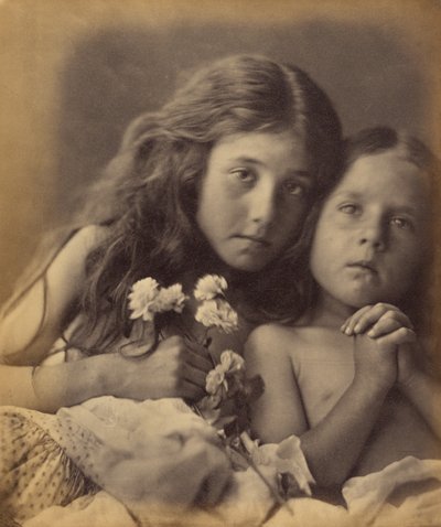 Czerwone i białe róże autorstwa Julia Margaret Cameron