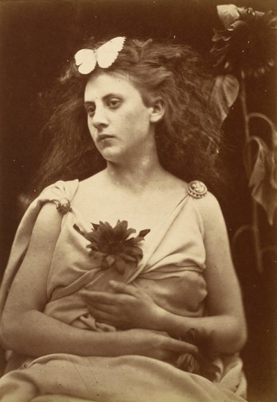 Słonecznik, początek lat 70. XIX wieku. autorstwa Julia Margaret Cameron