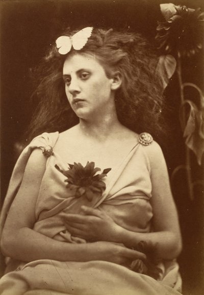 Słonecznik, początek lat 70. XIX wieku (zdjęcie) autorstwa Julia Margaret Cameron