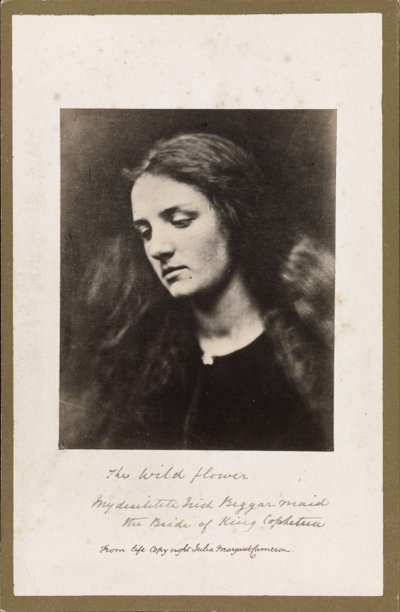 Dziki kwiat autorstwa Julia Margaret Cameron