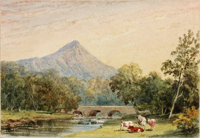 Sugarloaf Hill z Tynnahinch (wc na papierze (naklejone na kartę)) autorstwa Julia Swinburne