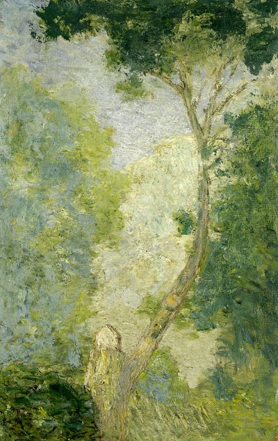 Krajobraz, po 1900 r. autorstwa Julian Alden Weir