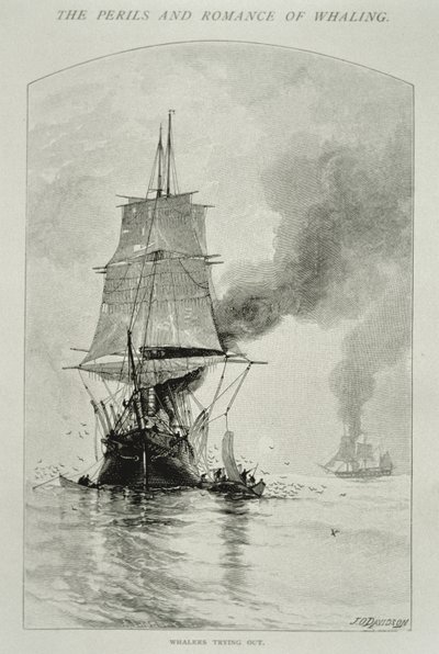 „Whalers Trying Out” (rzeźbienie wieloryba i wciąganie jego mięsa na pokład), za „Niebezpieczeństwa i romanse wielorybnictwa” w Century Magazine, sierpień 1890 (rycina) autorstwa Julian Oliver Davidson