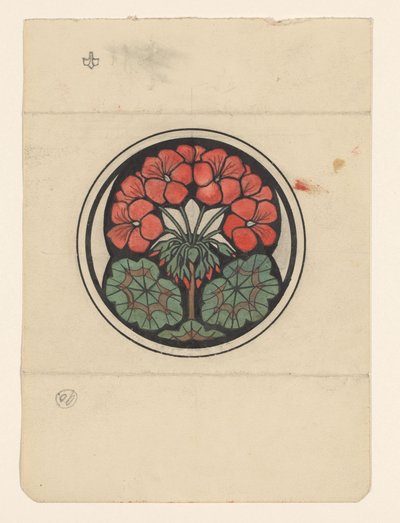 Pelargonia autorstwa Julie de Graag