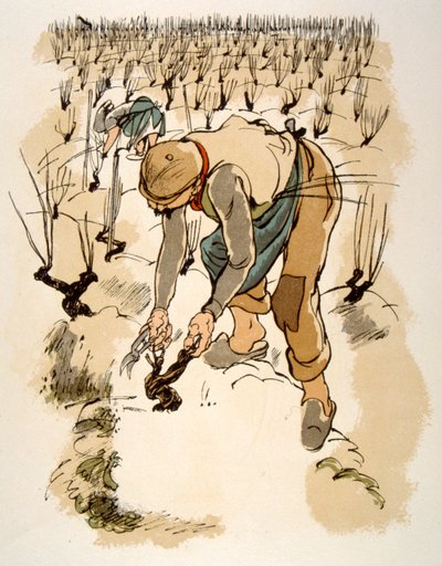 Ilustração humorística de vinho 1946.Ilustração de Julien Pavilpolish autorstwa Julien Pavil