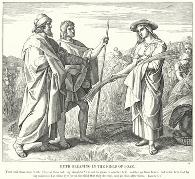 Rut Gleaning na polu Boaza (rycina) autorstwa Julius (after) Schnorr von Carolsfeld